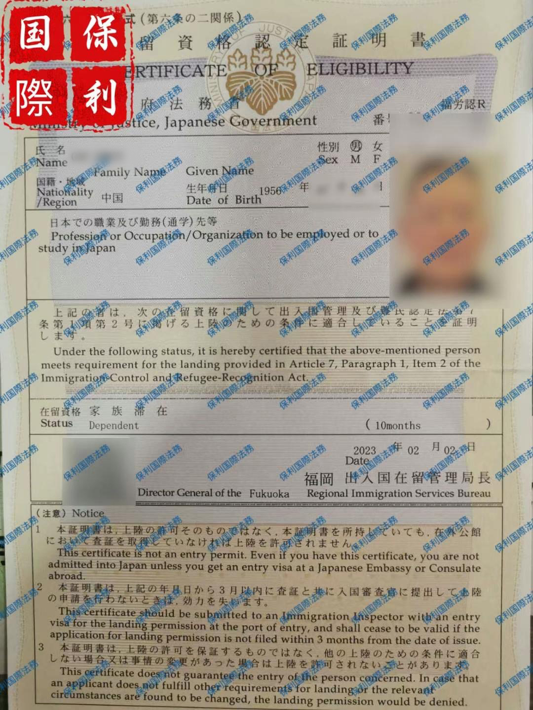 成功案例